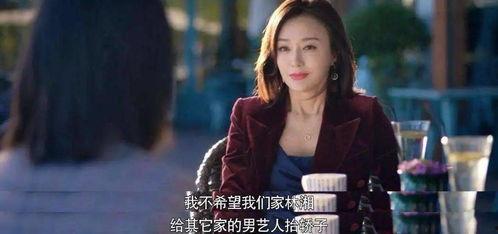 娱乐圈吃瓜大妈小说,揭秘明星背后的秘密与八卦风云