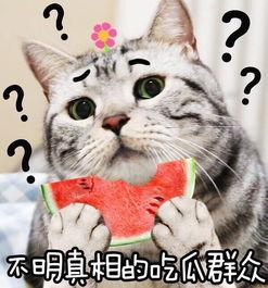 坐等吃瓜图片