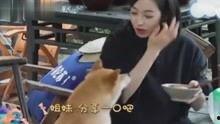 娱乐八卦吃瓜 百家号是真的吗吗,真相还是炒作？