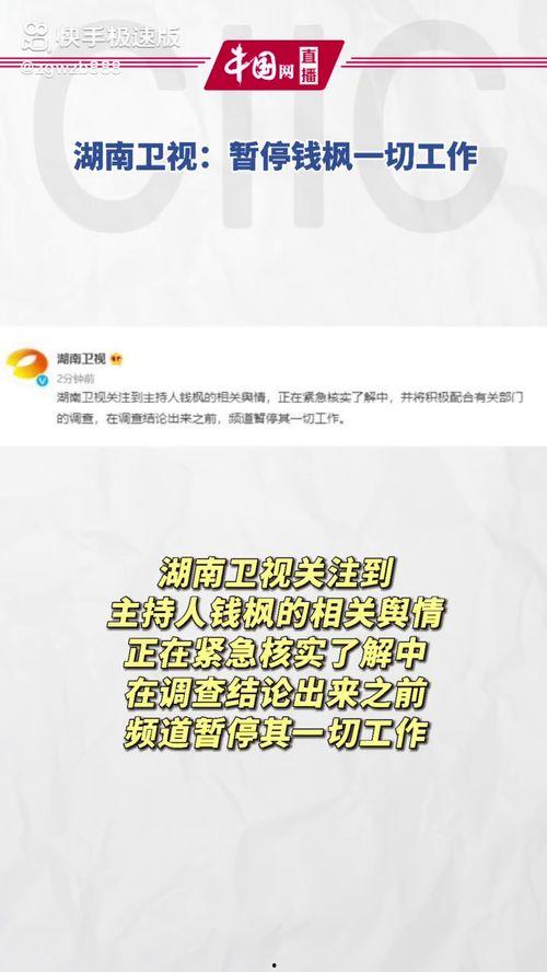 娱乐圈吃瓜等级
